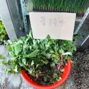 풍년농약사 이미지