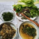 들길봄동 이미지