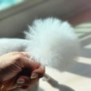 그루멍 프렌즈 이미지