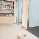 동물의료센터24인치 이미지