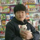 더독동물병원 이미지