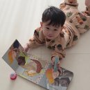 영어놀이 뮤지컬잉글리쉬(A) | 어린이영어 골든타임, 4세 놀이영어 끝판왕 잉글리시에그 후기