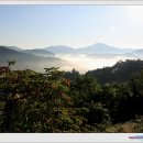 새터 마을회관 이미지