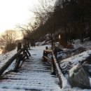 비내섬의 아침 이미지