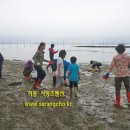 유포체험마을 이미지