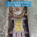 신평유리 이미지