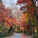 행정사사무소임광 이미지