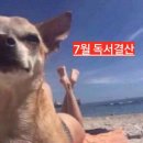 7월 독서로그
