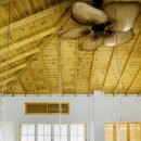 제주클래식위미 이미지