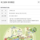라그로타 네이버블로그