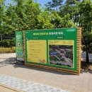 잠실축제: [환경사랑축제]후기/ 주방세제, 필통, 음료 받아가세요!