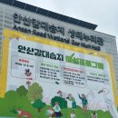 안산미디어도서관 | 안산 갈대습지 생태누리관 관람 후기 | 도심 속 자연과 최첨단 체험의 만남!