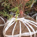 옥희농장 이미지