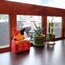 맘씨좋은커피 이미지