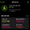 파틀렉 이미지