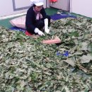 동훈푸드산업 네이버블로그