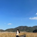 역전앞오락실 이미지