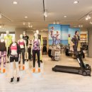 인(IN)스포츠 이미지