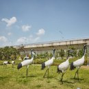 군남농장 이미지