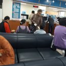 야시대농장 이미지