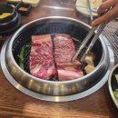 선유도역 근처 데이트장소 선유도고양이 다녀온 후기(+갤럭시S25 사전예약으로 선물받음)