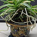 (주)누리팜 이미지