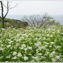 은대민박 네이버블로그