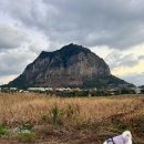 상모리-20 | 반려견동반 제주도여행 4일차 송악산둘레길 한바퀴 걷고 대포포구 회포장