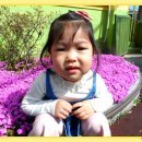 내행어린이집 이미지