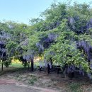 밀양댐문화관 이미지