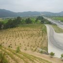 대로주유소 이미지