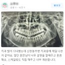 가정백세플란트치과의원 이미지