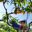 하연농장 이미지