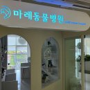 마레동물병원 이미지
