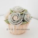 꽃떡쏠리 이미지