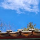 정담스테이 | 충청권대학생 불교동아리 템플스테이 힐링싱잉볼명상