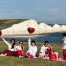 더 리얼사우스 이미지