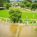 장뜰두레놀이 이미지