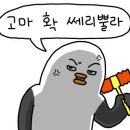 탐스 짐 이미지