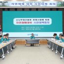 시청 소나무 이미지