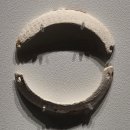 우리삶문화옥당박물관 | 조개かい 패각貝殼에 담긴 한국과 일본의 흔적 국립해양박물관