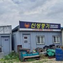 신성중기