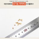 주식회사 이레스토리