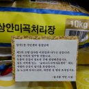 키다리아저씨 티스토리