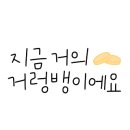 토토펫살롱 이미지