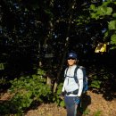 곰치농장 이미지