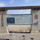 봉길대왕암(문무대왕릉) | 경주 문무대왕릉 주차 먹거리 봉길대왕암해변 갈매기 새우깡 후기