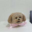 수유역, 강아지 수제케이크 직접 만들 수 있는 둥글댕글