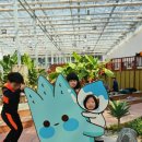 알로에테마파크 이미지