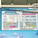바다대통령 | [거제 저도 후기] 대통령 별장 있는 섬, 거제저도유람선 타고 저도 탐방 후 군소비빔밥까지